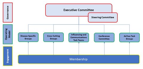 NNN Governance structure