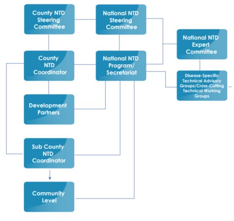 Figure 1. Structure for implementing the BTS, adapted from the Kenya National BTS (page 46).