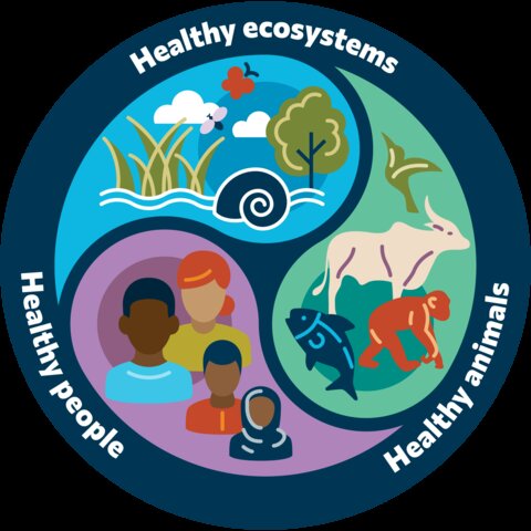 The One Health diagram is inspired by the One Health High-level Expert Panel's definition: One Health is an integrated, unifying approach that aims to sustainably balance and optimise the health of people, animals and ecosystems. It recognises the health of humans, domestic and wild animals, plants, and the wider environment (including ecosystems) are closely linked and inter-dependent. Diagram credit: Unlimit Health.