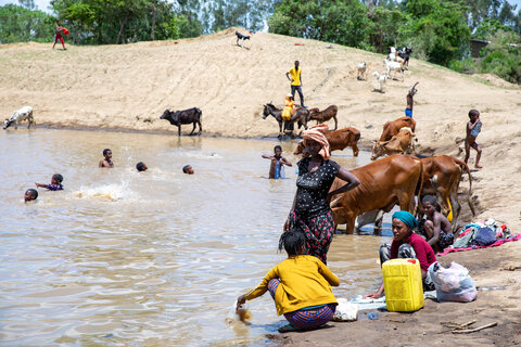 A manmade dam in Shone Woreda, Ethiopia traps water from the previous rainy season which the local community uses for washing clothes, bathing, and cooking, as well as to provide water for their cattle. Access to safely managed water services is limited. 